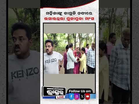 କୁମ୍ଭୀର ନେଇଗଲା ଜୀବନ ଭାସୁଛି ପୁଳା ପୁଳା ... #crocodile #odishabhaskar #shortvideo