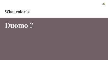 Duomo color #6e6064 hex color - Grey color - Cool color 6e6064