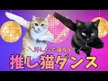 虹の橋を渡った愛猫も蘇る⁉︎AI動画生成で推し猫ダンス【HitPaw VikPea】
