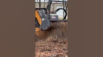 Fastest forestry mulcher destroys stump💥 #case