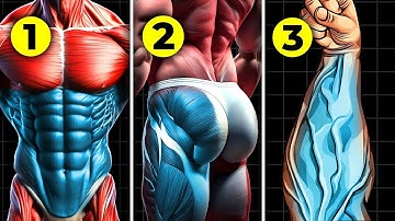 The Only 5 Exercises Every Man Needs For Explosive Strength! 💥💯💪🔥