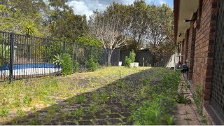 Weeds have TAKEN OVER #beforeandafter #yardmakeover #satisfying #gardening