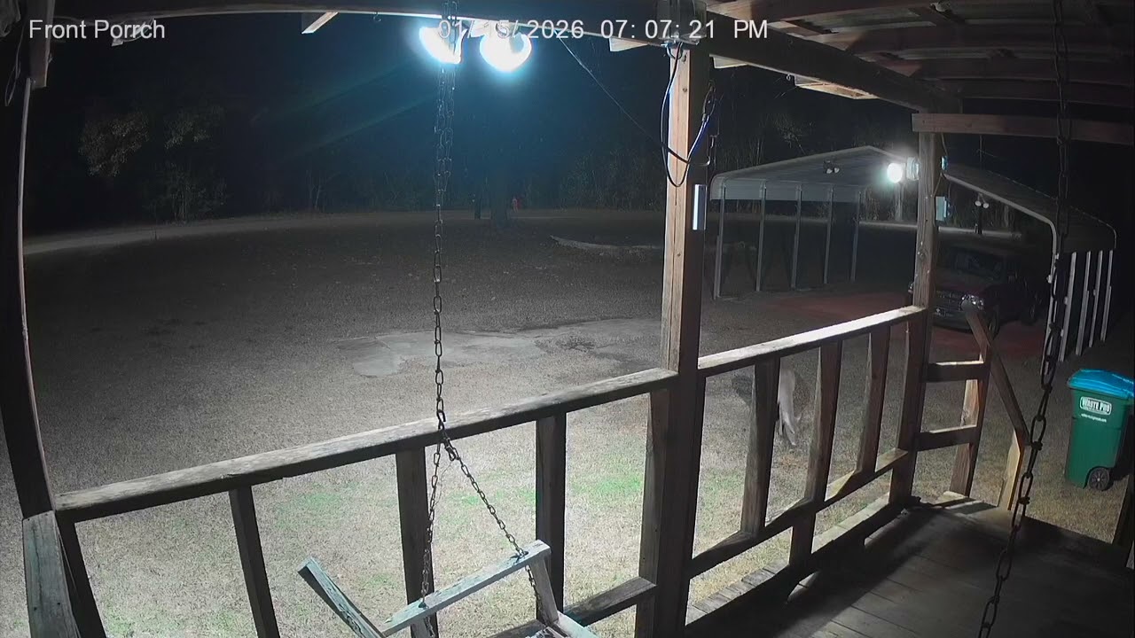 Deer Front Door Jan 15 2026