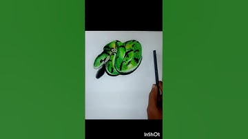 hyperrealistic snake 🐍 drawing# hyperrealistic #drawing#3d#trending#art#artist#youtube#viral#shorts#