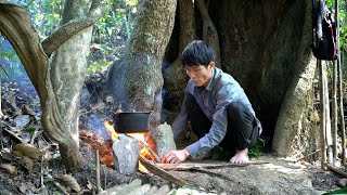 Solo Survival in the Forest, Cooking & Shelter | Bushwalking in the woods