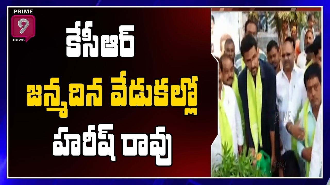 KCR Birthday: Harisha Rao And Meghalaya CM Wish on Twitter | Prime9 News