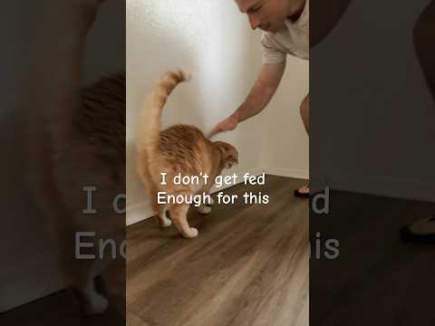 How many taps