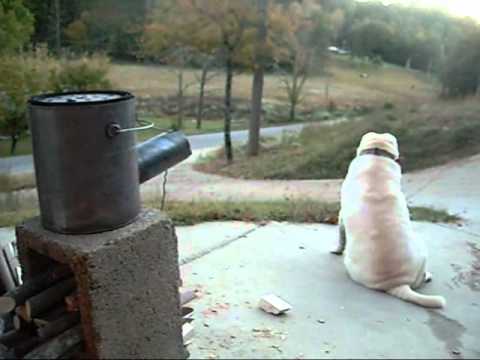 My Shar-pei, "Sarge" hanging out near the hobo stove