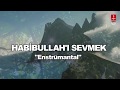 DURSUN ALİ ERZİNCANLI "HABİBULLAH'I SEVMEK" (ONLAR) ENSTRÜMANTAL ( Fon Müziği )