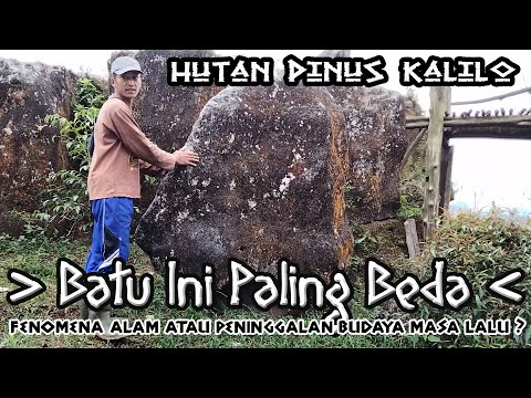 Video: Misteri Kerdil Floresian Prasejarah - Pandangan Alternatif