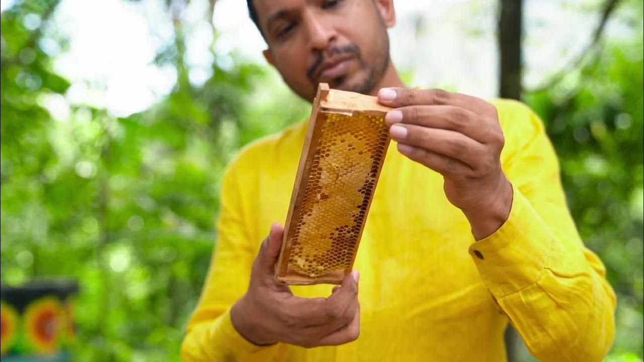 Here's What Makes Sri Lankan Bee Honey Unique YouTube