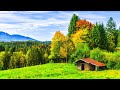 Calm Your Mind With Beautiful Relaxing Music &amp; Beautiful Nature for Insomnia Relief and Meditation
