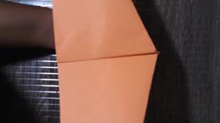 How To Make A Bionic Superplane That Flies Like A Birdstep By Stepdo It Yourself- Diy Origami