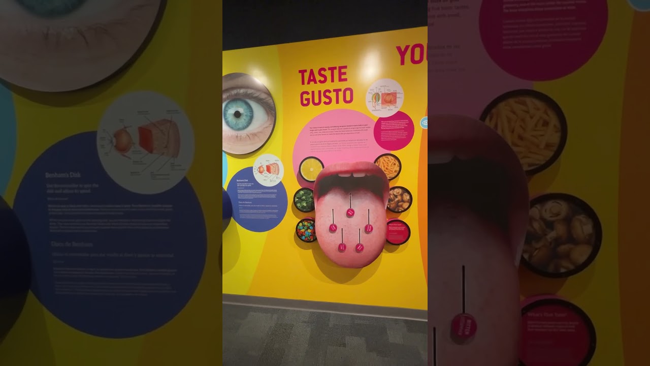 Inside the Cox Science Center in West Palm Beach, Florida