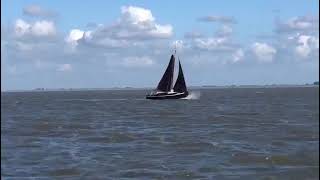 Zeeschouw ST31 Staveren 31 (230159-1)