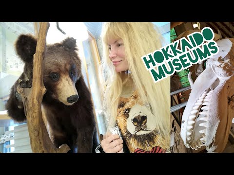 Adeyto 🏞️ Eastern Hokkaido Wildlife Museum Shiretoko Nosuke Peninsula Rausu Utoro 📽️ HUAWEI P20PRO