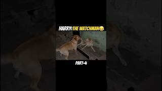 Part-4 Watchman Harry😂 #labrador #dog #funny #dubbing #shorts