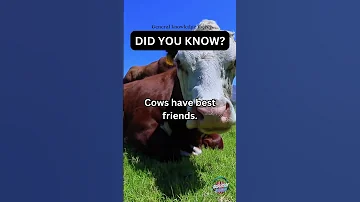 Did you know? - Fun Facts #brainbites