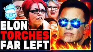 Elon Musk Blasts The Left With New Meme & The Media Loses Its Minds Because Hes Right