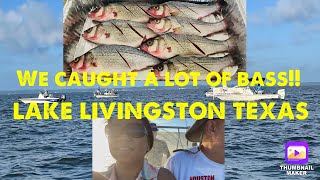 LARGREMOUTH BASS (CATCH, CLEAN ,COOK & EAT) SHORT FAMILY VACAY IN LAKE LIVINGSTON TX.. #DOLLY DEAR..