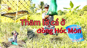 Trải nghiệm đi thăm lờ cá cải tiến-Tập 8-Thăm và cuốn lờ ở Hóc Môn đêm về quê đặt-Hiếu Nguyễn 789 TV