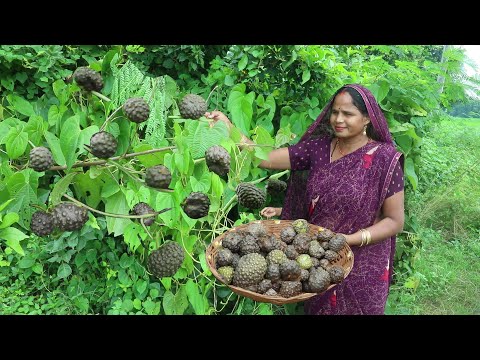 जंगली अजूबा की रसेदार सब्जी  Ajuba ki masaledar sabji