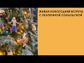 Живая новогодняя встреча с Екатериной Сокальской