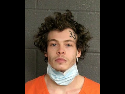 Harry Styles lookalike accused of assaulting woman during robbery