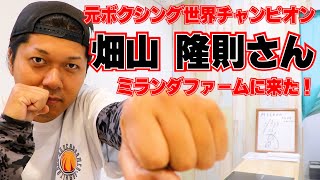 WBA世界チャンピオンモデル 畑山隆則　 グローブ ボクシング元世界チャンピオン】畑山隆則さんがミランダファームに
