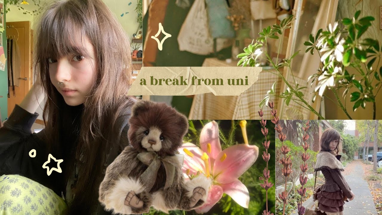 a day away ⋆˚꩜｡ home town vlog