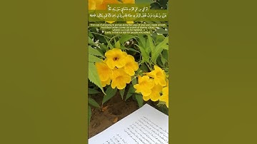 وأوحى ربك إلى النحل أن اتخذي من الجبال بيوتا | ‏Surah : An-Naĥl| سورة النحل.