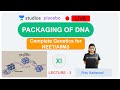 L3: Packaging of DNA | Complete Genetics (Pre-medical-NEET/AIIMS) | Ritu Rattewal