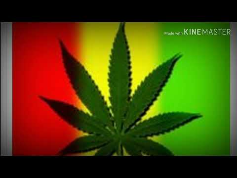 Ras Muhamad : Musik Reggae Ini