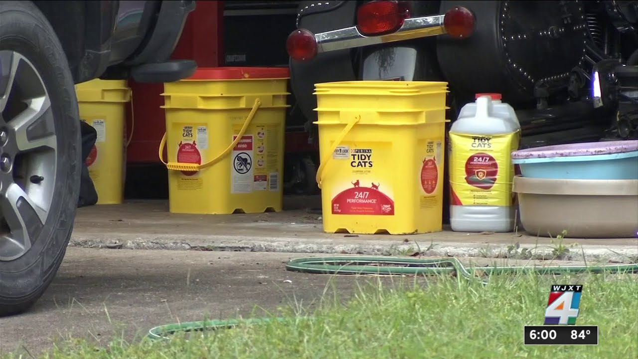 74 cats removed from filthy Mandarin home
