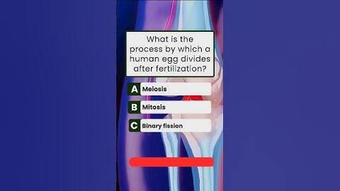 Ultieme algemene kennisquiz! #trivia
