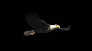 Dictionary English Esperanto how to use prefixes and sufixes