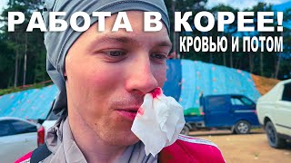 видео: 5 Простых Советов чтобы Найти Работу в Южной Корее без Языка #korea #work #money картинка: 5 Простых Советов чтобы Найти Работу в Южной Корее без Языка #korea #work #money