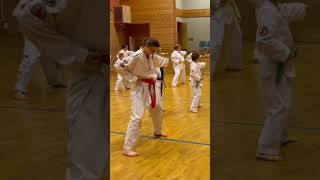 Taekwondo Kidsa In Norway Do New Moves In Wt Dojang 2022 Sept 15. F