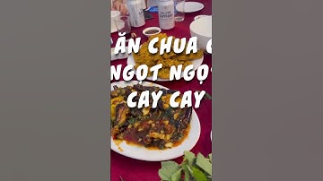 Tắm Biển Trà Cổ Móng Cái Và Thưởng Thức Món Sam Cực Kỳ Hấp Dẫn #shorts