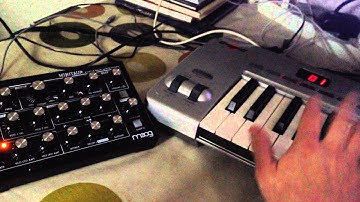 Putting down some bouncy MOOG Minitaur bass