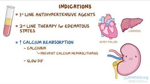 Thuốc lợi tiểu thiazide