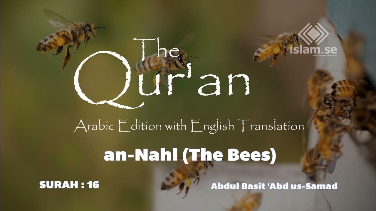 The Quran Chapter 016 Surat An Nahl The Bees Arabic Edition with English Translation YouTube