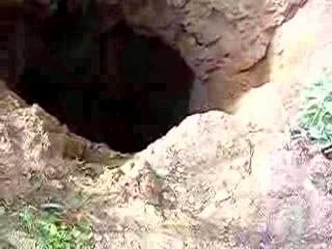 idaho state Another Shot Peering Into the Very Deep Vertical Shaft