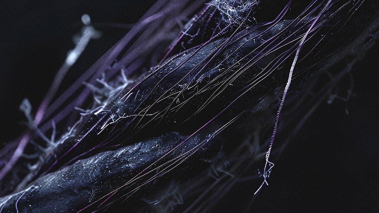 Hard Destiny - Hard 2 Break (Official Videoclip)