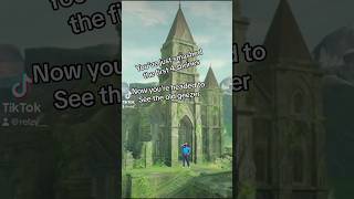 King Rhoam isnt ready for this ha!! #zelda