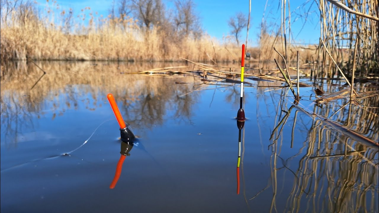 Відкриття сезону 2025. Рибалка на ПОПЛАВОК в березні. Велика батониста плотва на поплавочну вудку