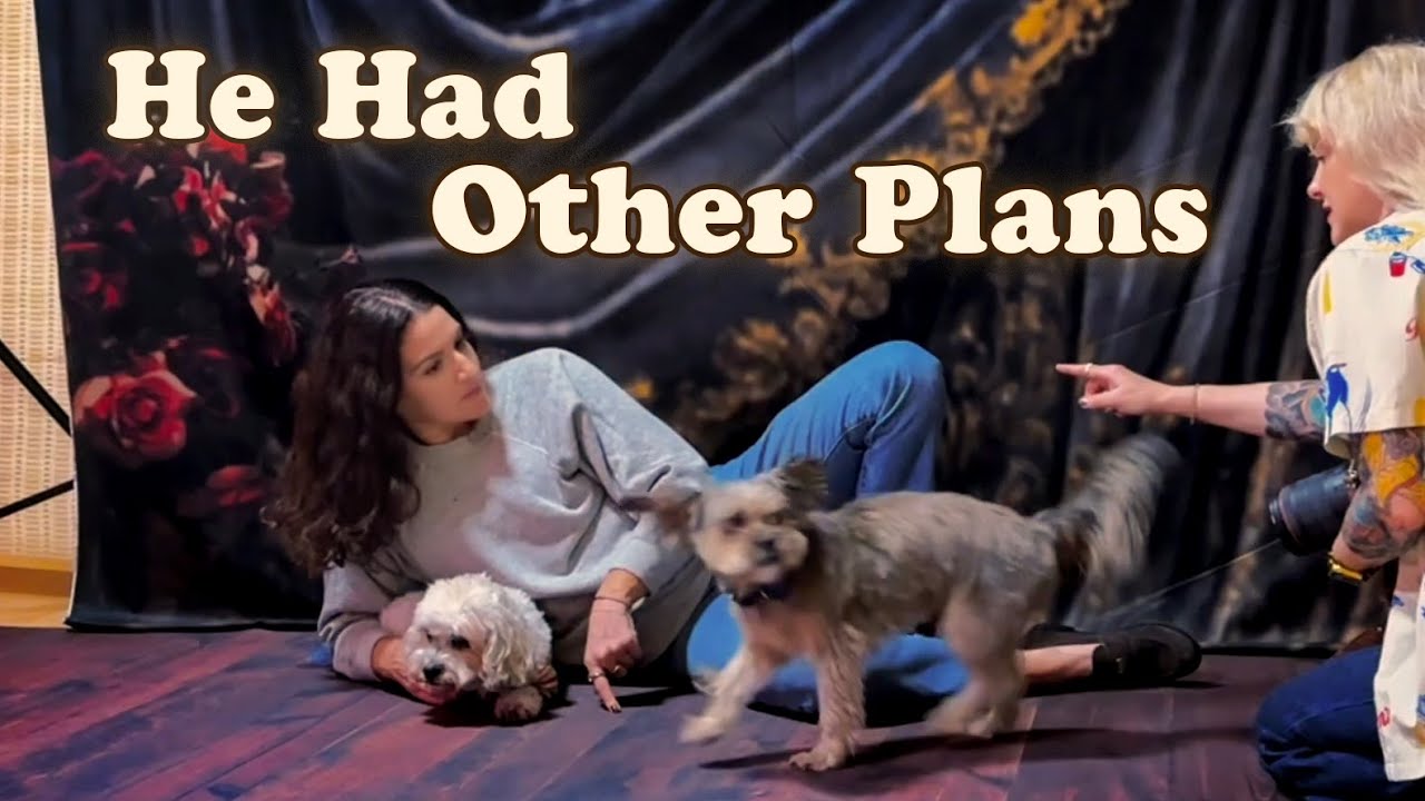 Not Every Dog Loves a Photoshoot | Slow Studio Vlog