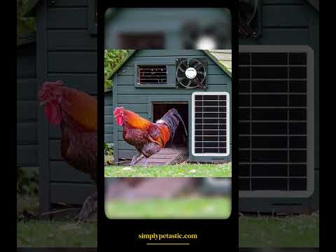 Solar Panel Powered