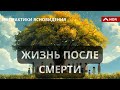 Когда приходят умершие, они наши Ангелы хранители?