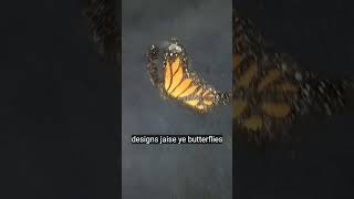 butterfly painting on old jeans 👖 like subscribe comment share view 😁😄